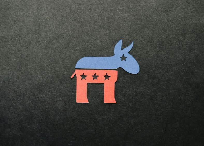 The Fall of Political Parties: How Democrats and Republicans Are Facing Internal Crises