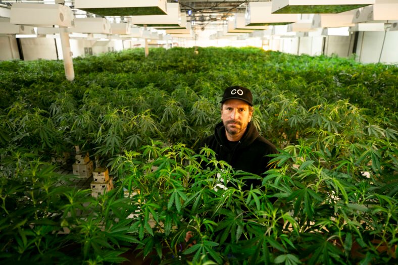 The Rise and Fall of Marijuana Businesses: Unpacking Toxic Work Culture