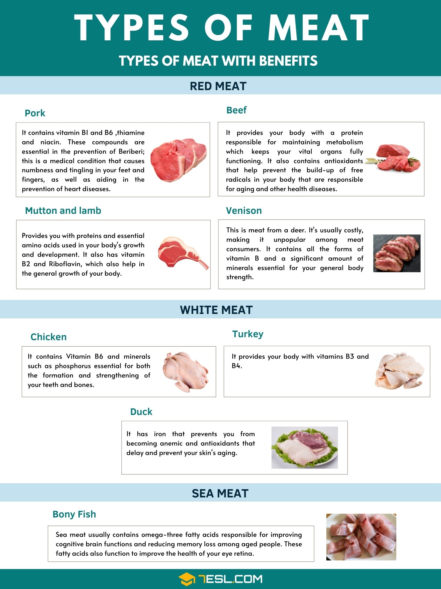 The Pros and Cons of Protein: What You Need to Know