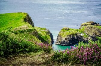 a body of water surrounded by a lush green hillside