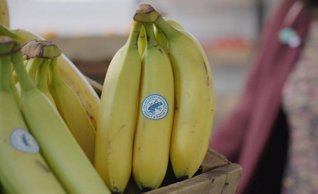 Top 55 Eco Trends in April
