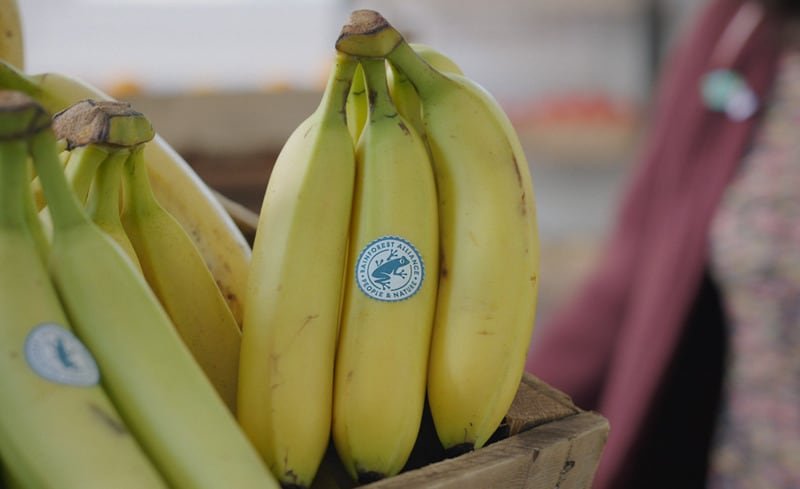 Top 55 Eco Trends in April