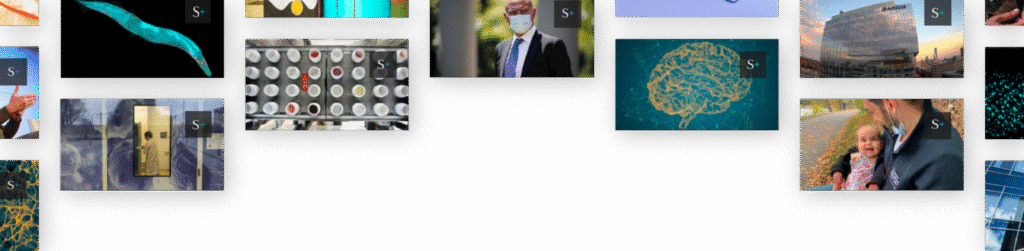 Lyme disease researchers eye ‘tick cement’ in mRNA vaccine study