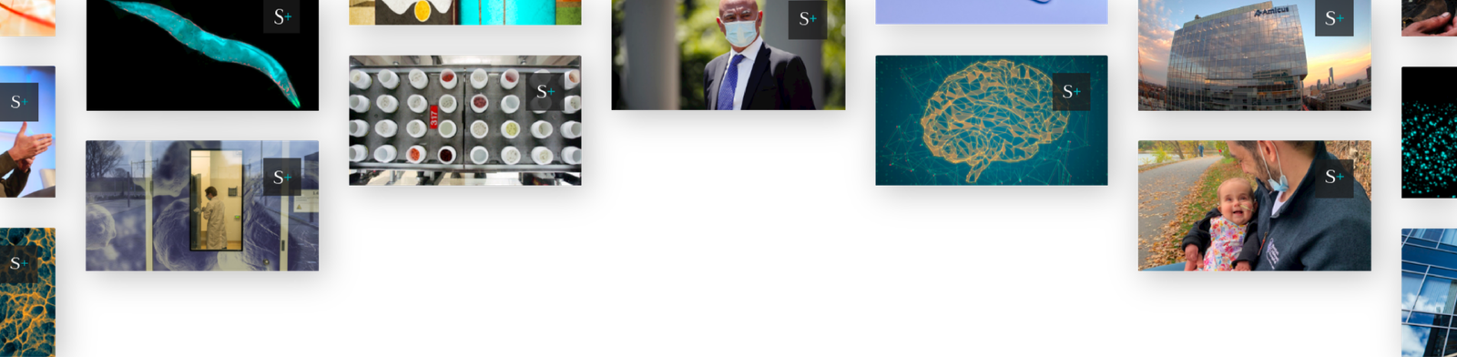 Lyme disease researchers eye ‘tick cement’ in mRNA vaccine study