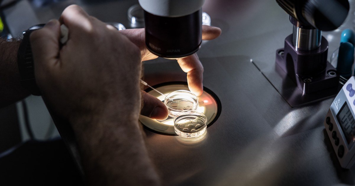 CDC’s IVF team gutted even as Trump calls himself the ‘fertilization president’