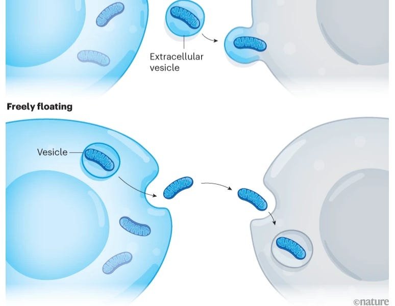 Health news, COVID & more, 4/13/25