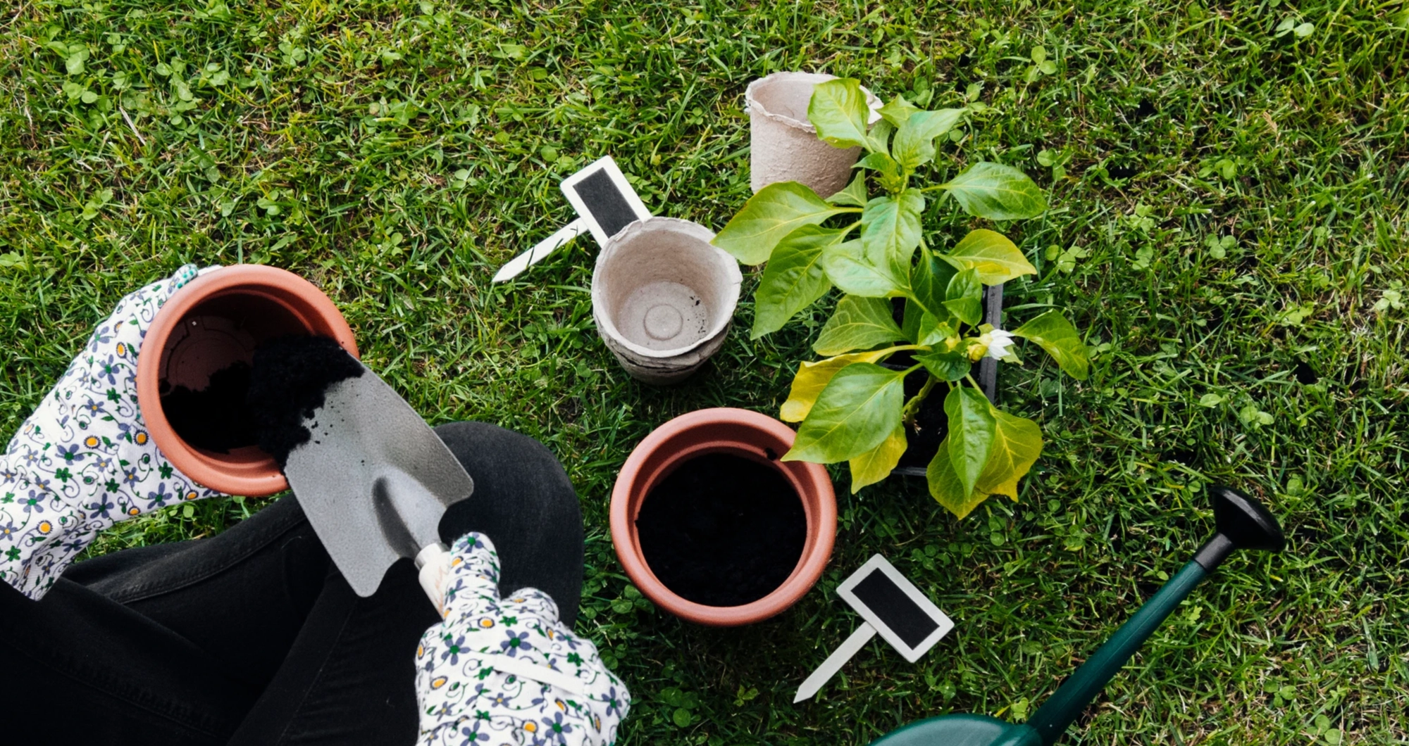 The top 10 home landscaping trends for 2025