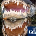 3 Trends to Shop For Spring From Emporio Armani