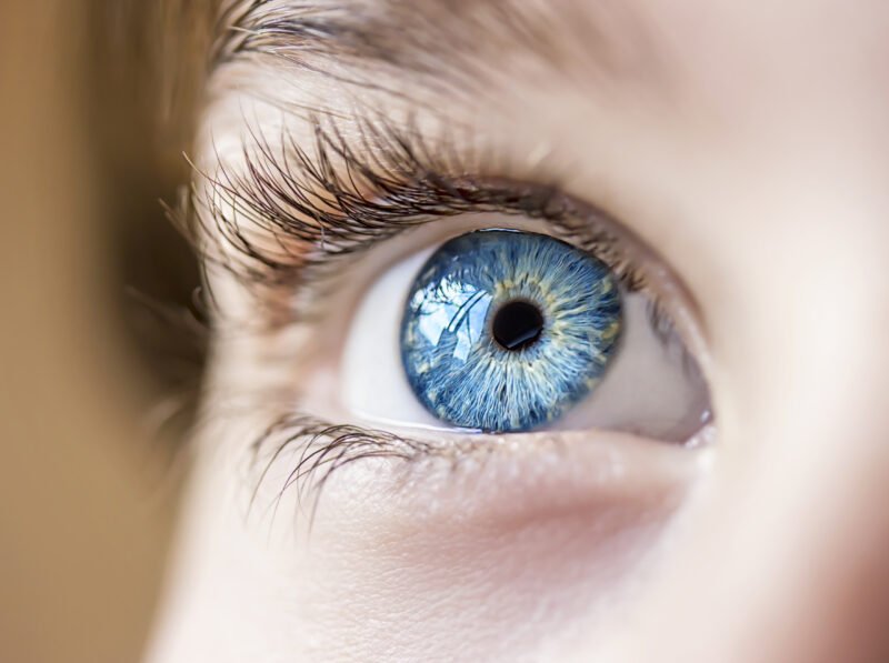 Why Your Eye Health Is So Important