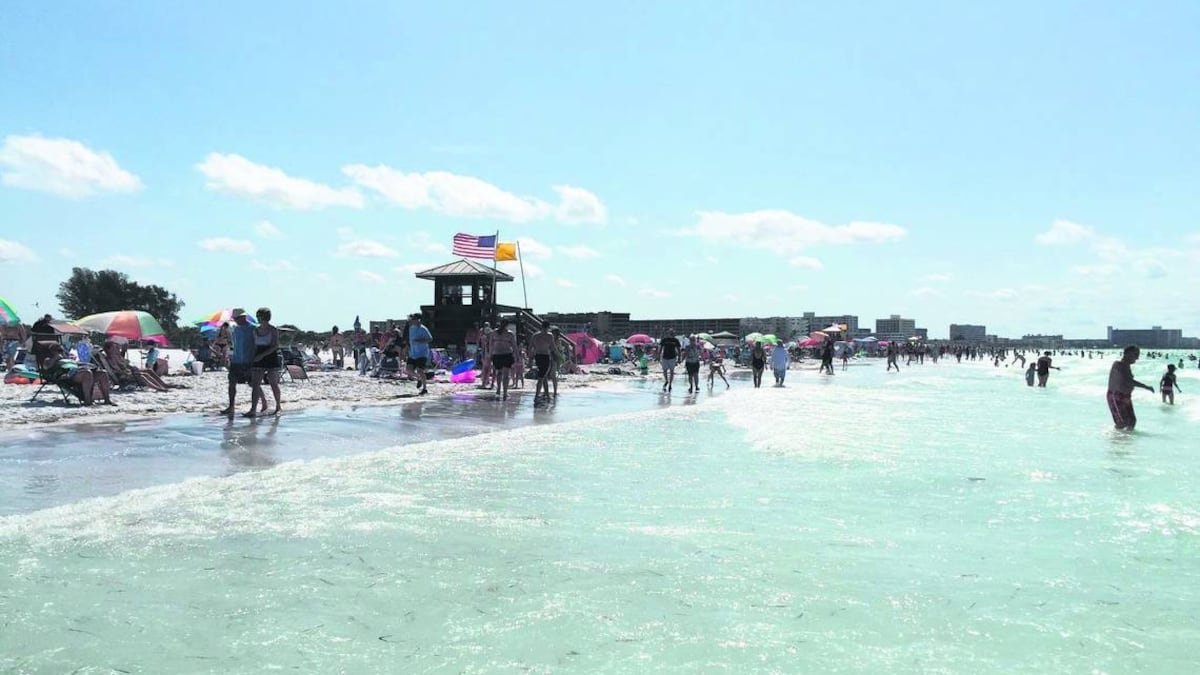 Florida Connectz-Florida beach with ‘pristine’ setting ranks among world’s best. Why it’s special.