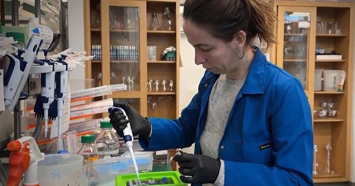 medical-researcher-1280.jpg Health expert calls Trump’s medical research cuts “reckless destruction”