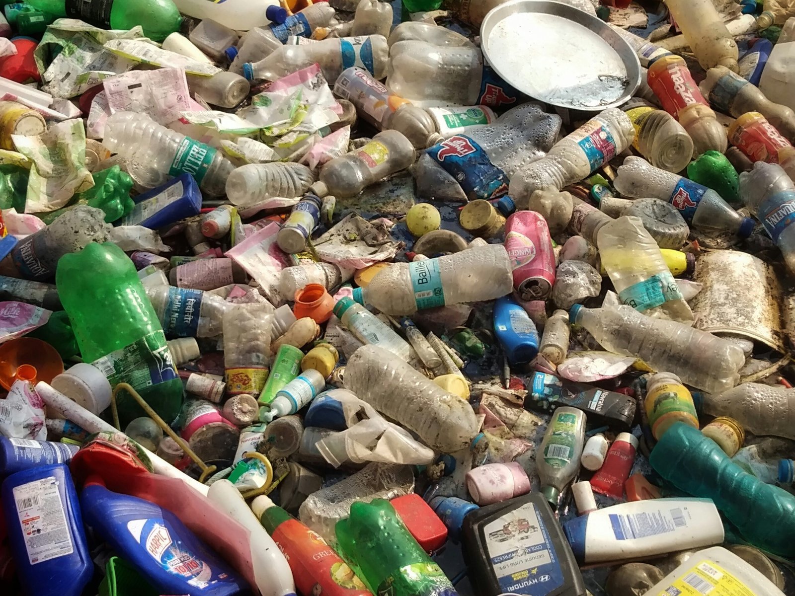 Hormone Disruptors on the Rise