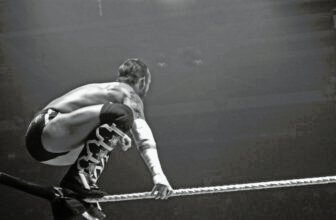 Wwe cm punk up top
