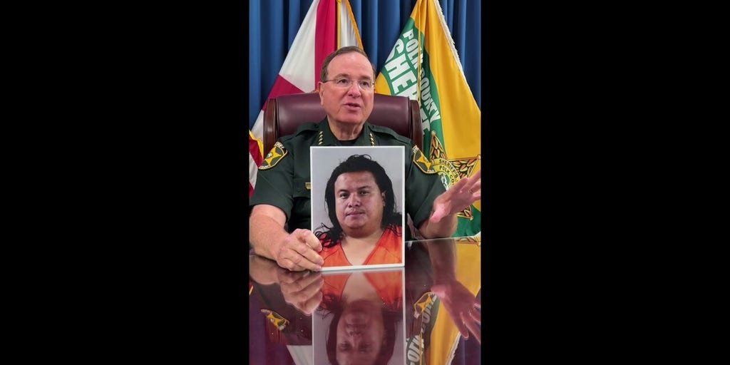 Florida sheriff upgrades charges for illegal immigrant accused of DUI hit-and-run – Fox News