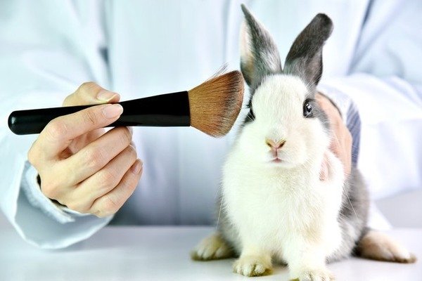 PETA US Narrows Eligibility for ‘Beauty Without Bunnies’ Listing Amid EU Animal Testing Loophole