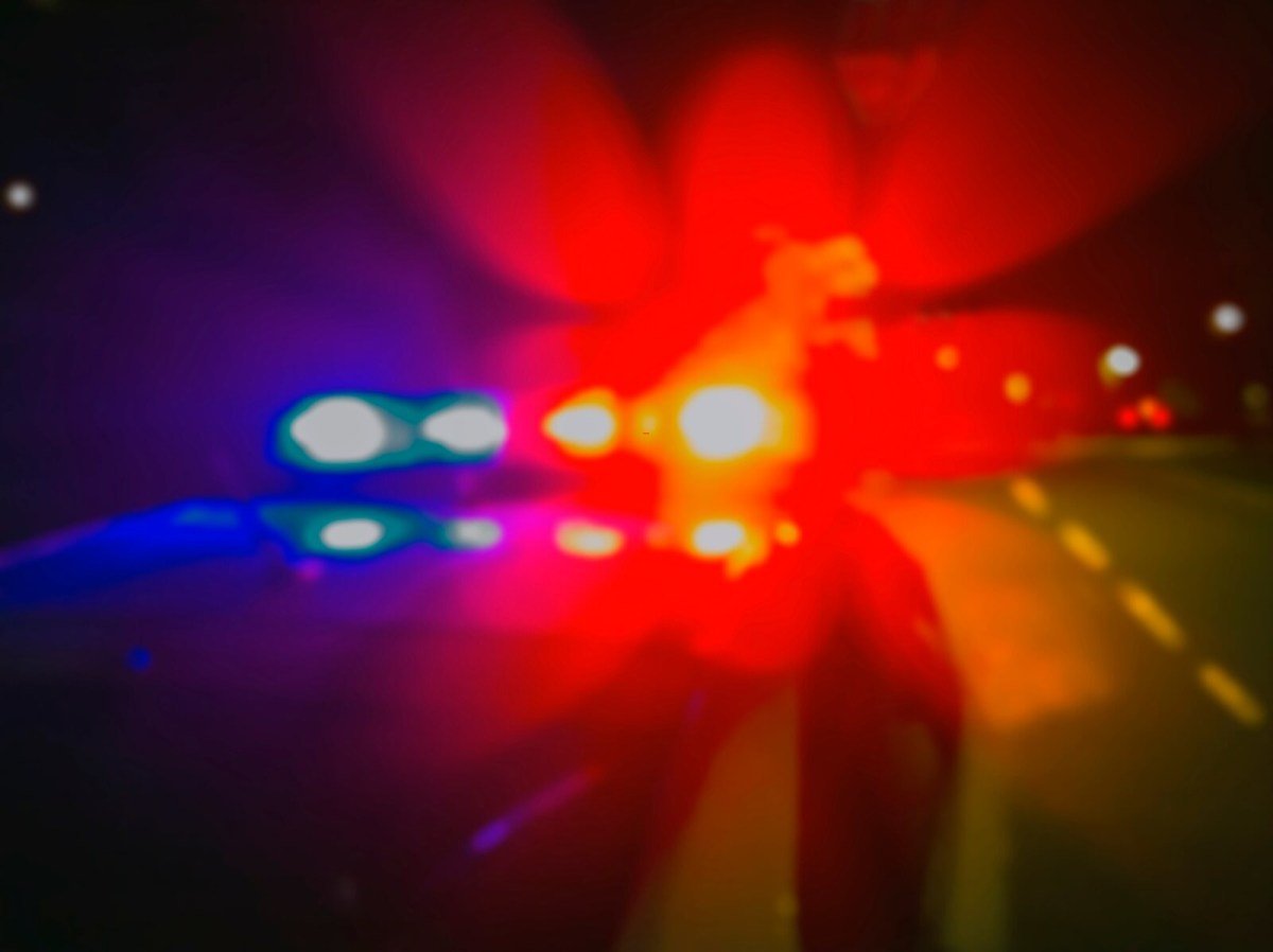 Florida man runs over 74-year-old stranger with a Toyota Corolla because he was mad at his mom
