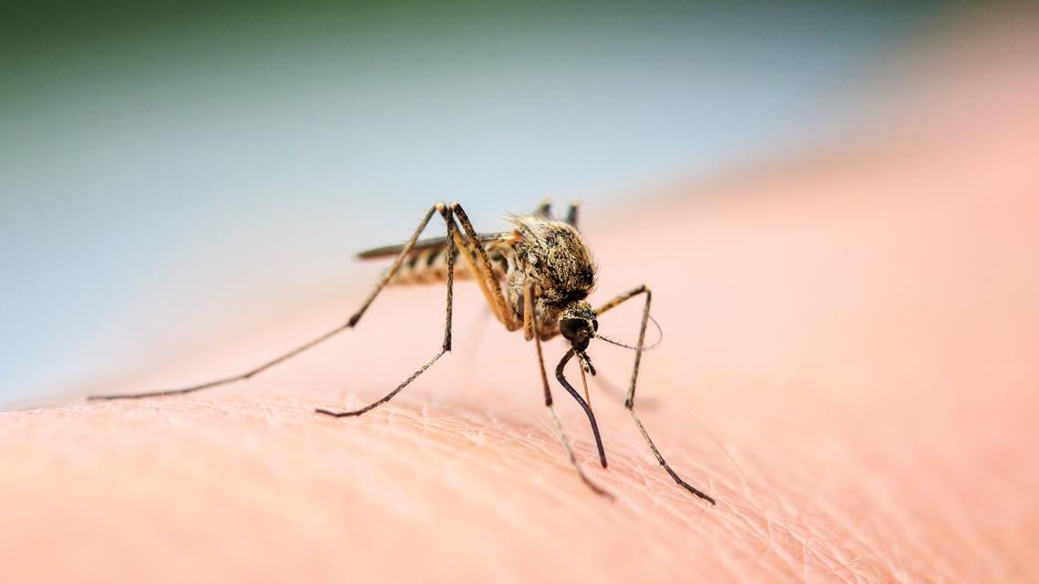 West Nile virus detected in Ionia County, marking county's first 2025 case