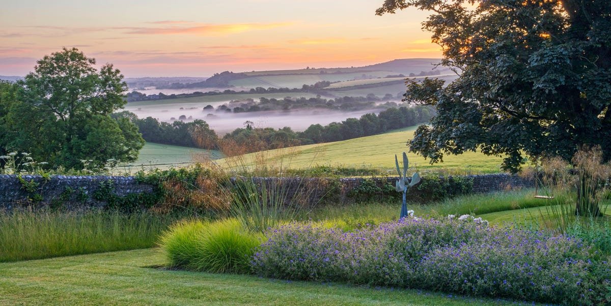 english-acres-wild-garden-grand-sycamore-683f6c3f0975a.jpg What You Need to Know About the Wellness Garden Trend in 2025