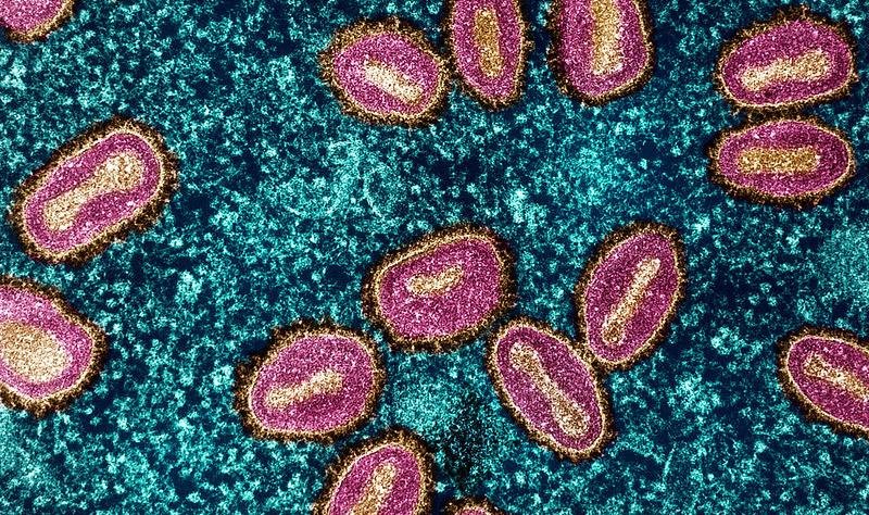 Mixed mpox picture in Africa shows successes, but challenges in newly affected countries