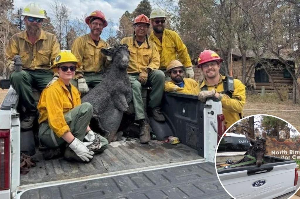 newspress-collage-3x8uu0bdh-1755436096929.jpg Firefighters recover Grand Canyon mascot Brighty the Burro after wildfire