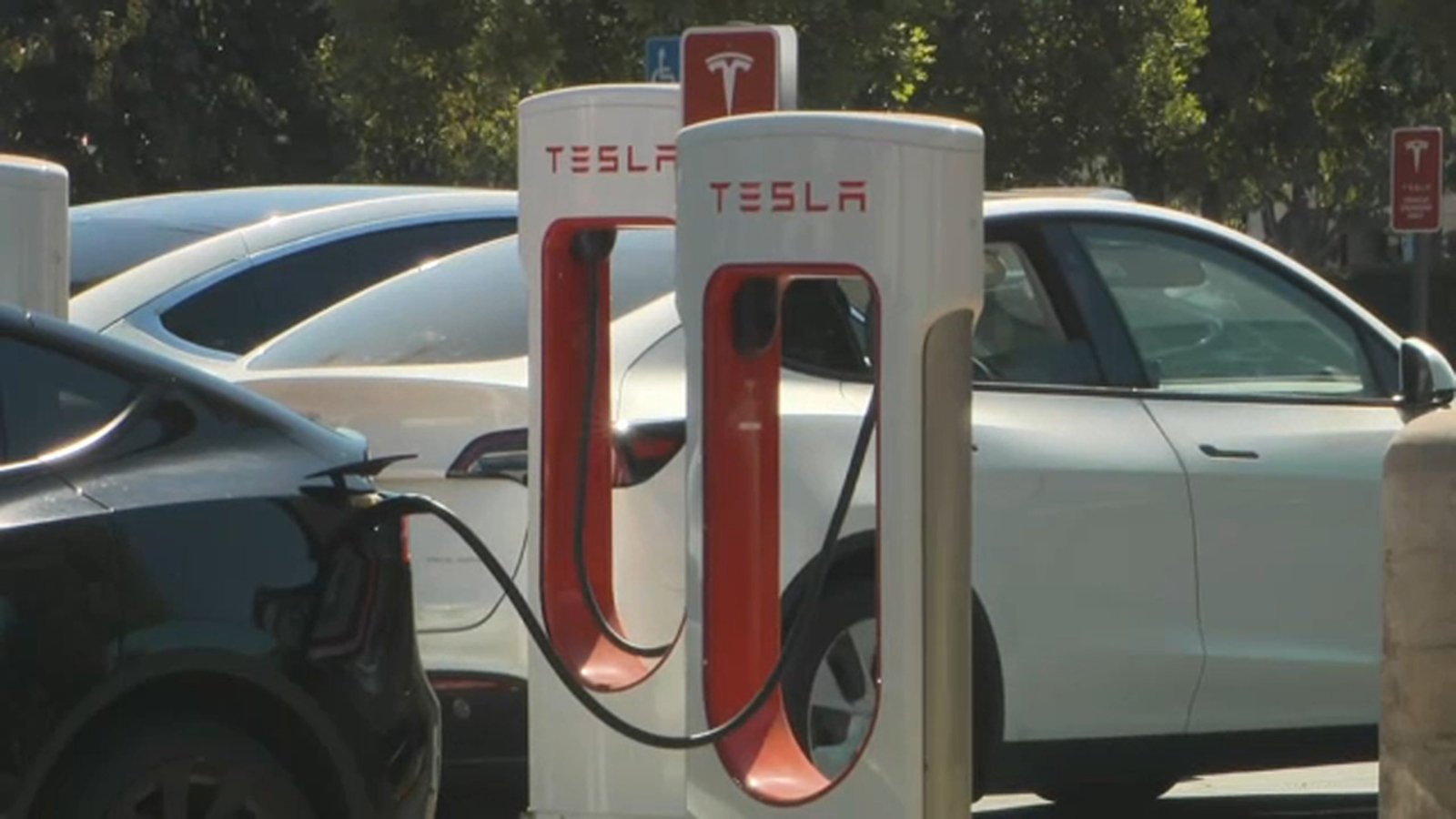 Elon Musk’s Tesla under investigation for potentially faulty door handles