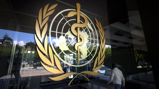 Ozempic ingredient added to WHO's essential medicines list https://internetconnectz.com/trendy-health-connectz/