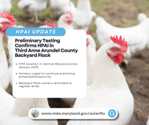 Hpai update 8.png