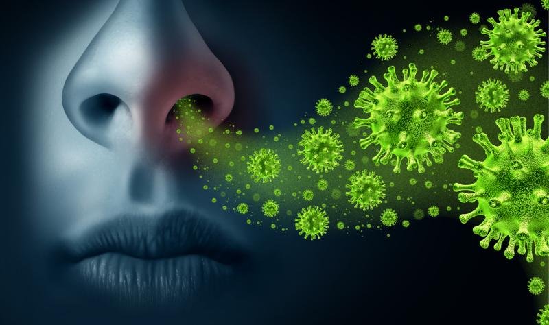 Antihistamine nasal spray prevents COVID-19, study finds https://internetconnectz.com/trendy-health-connectz/page/2/