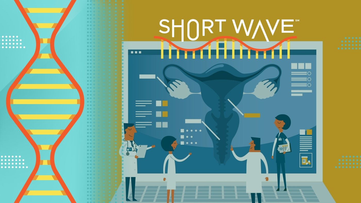 A surprising cause of endometriosis could lead to cure : Short Wave : NPR