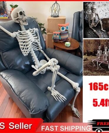 1759762969 s l500.jpg