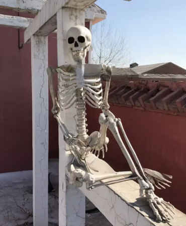 1760838737 s l500.png