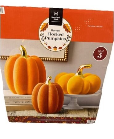 1761077065 s l500.jpg