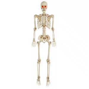 1761358940 s l500.png