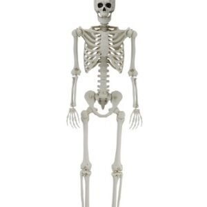 1761445578 s l500.jpg