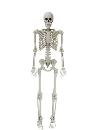 1761445578 s l500.jpg