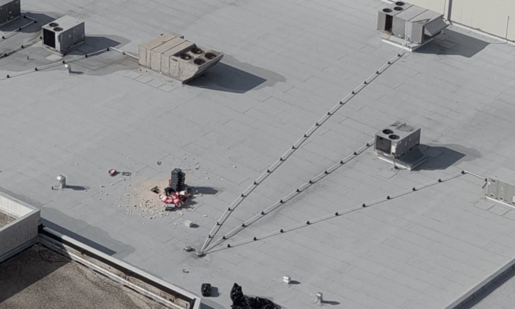 4bd2e9f7a1b14bd5950e6c5c9f1b61c3 00000 1000x600.png