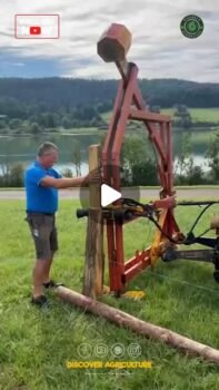 504485455 1210506633635748 6731650593656063186 n.jpg