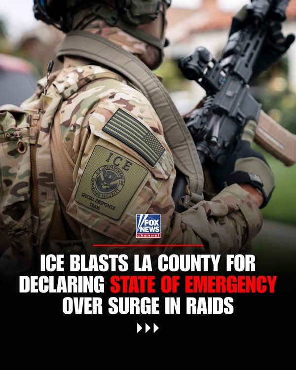 560176334_1217903710199489_8916961668646170206_n.jpg 560176334 1217903710199489 8916961668646170206 n.jpg