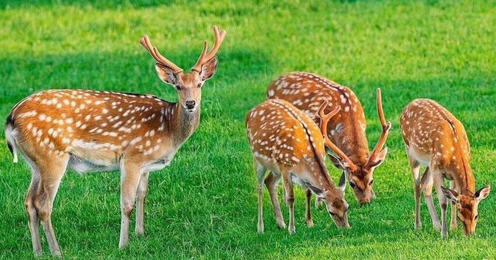 68f261968e5c6.image .jpg