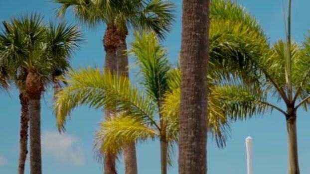 America’s no. 1 attraction is in central florida — and