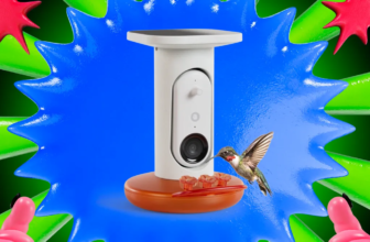 Bird20buddy20standalone.png