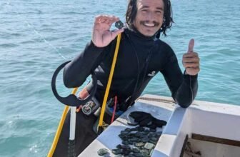 Excavators find $1m in gold coins from shipwreck along florida's