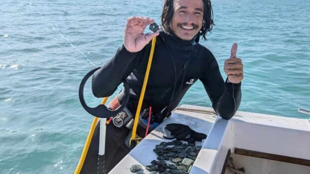 Excavators find $1m in gold coins from shipwreck along florida's