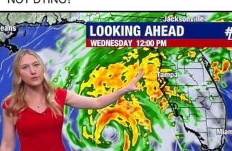 Florida memes facebook