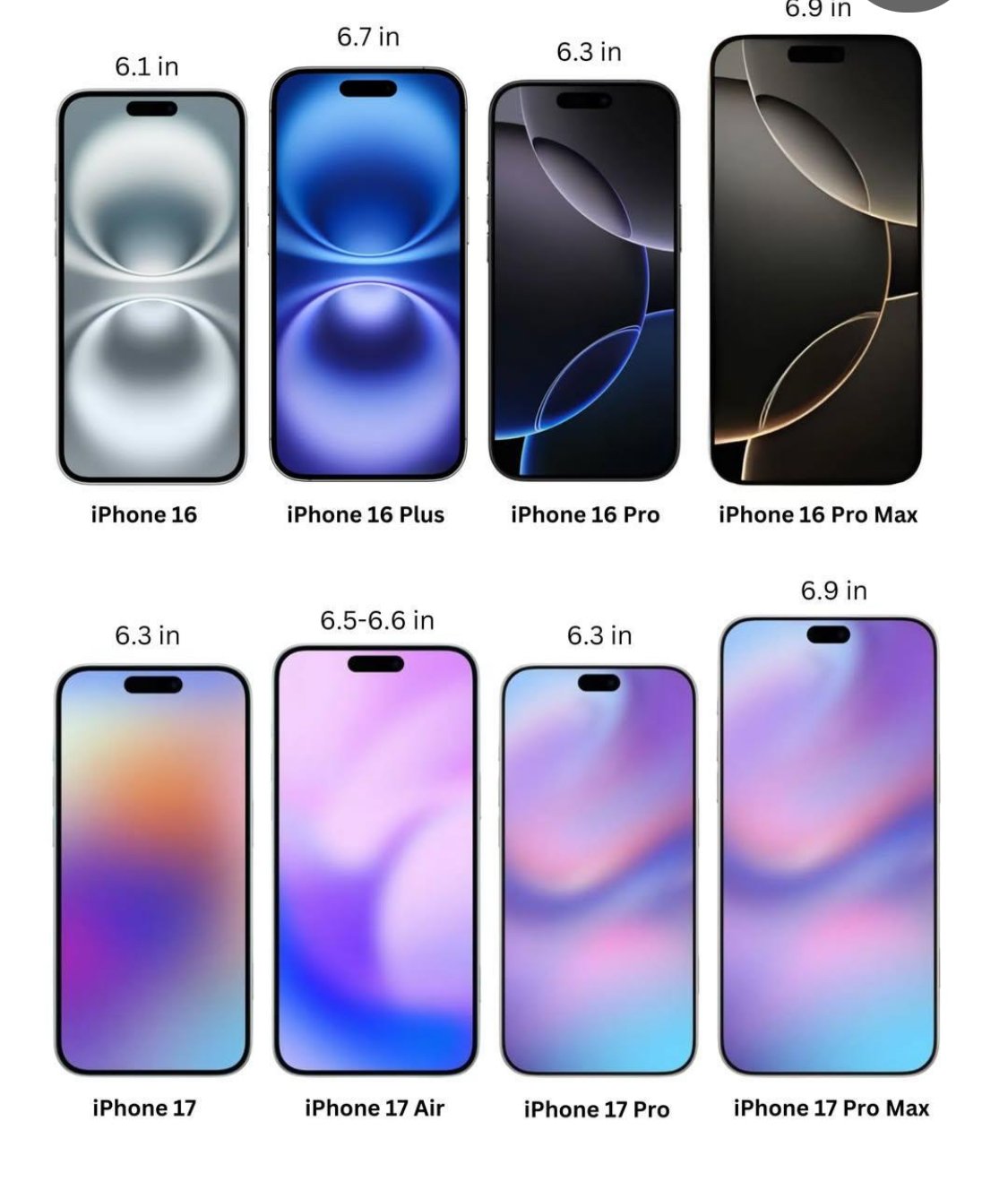 IMG_2340 the apple hustle