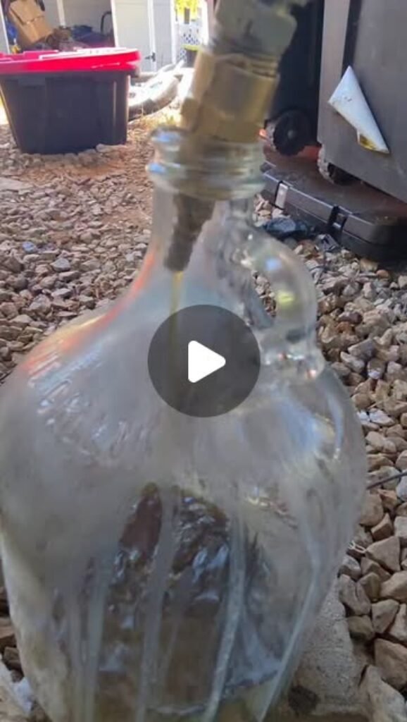 Make diesel from plastic with me in florida events