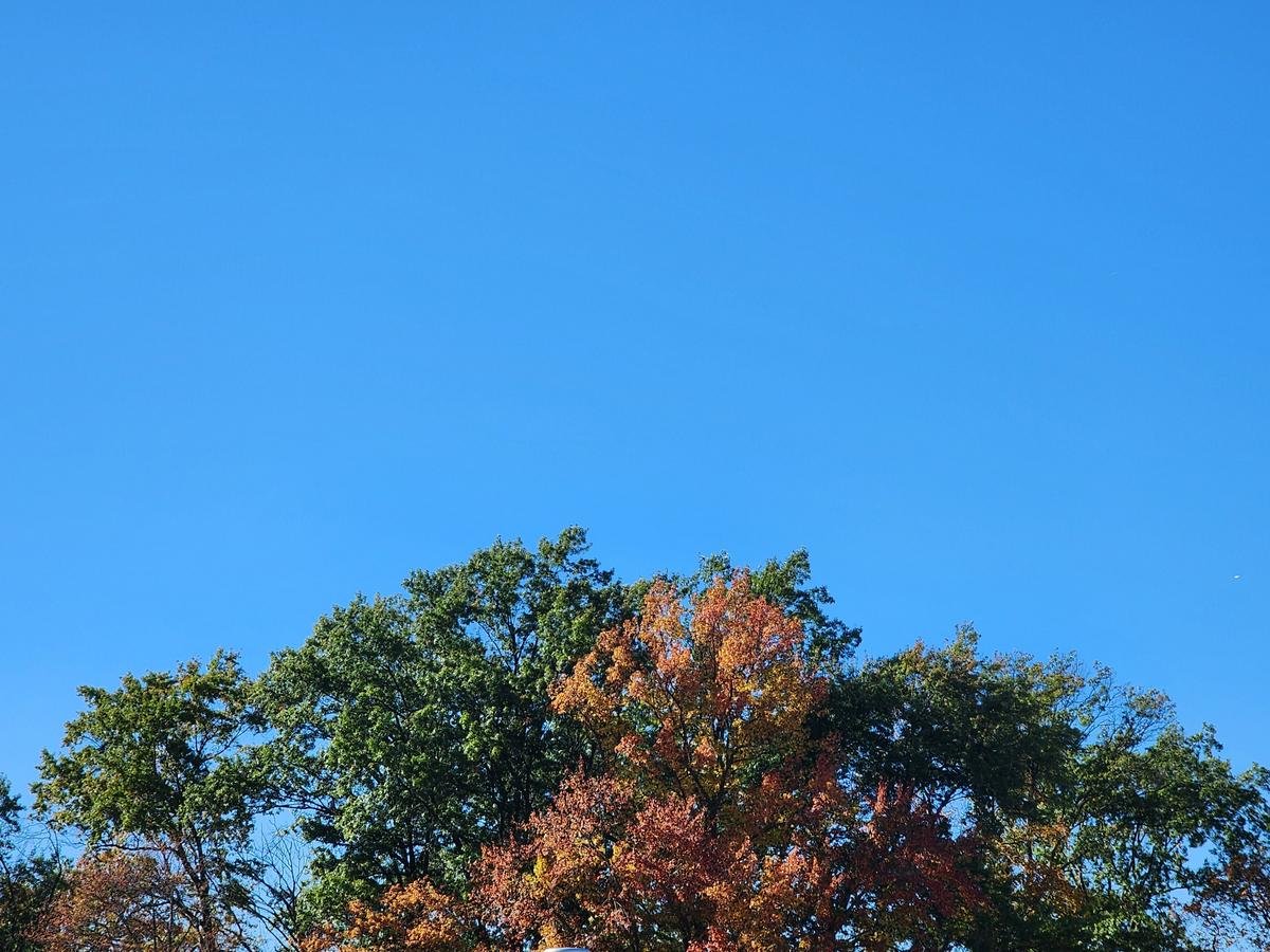 A quiet, cool last weekend of October