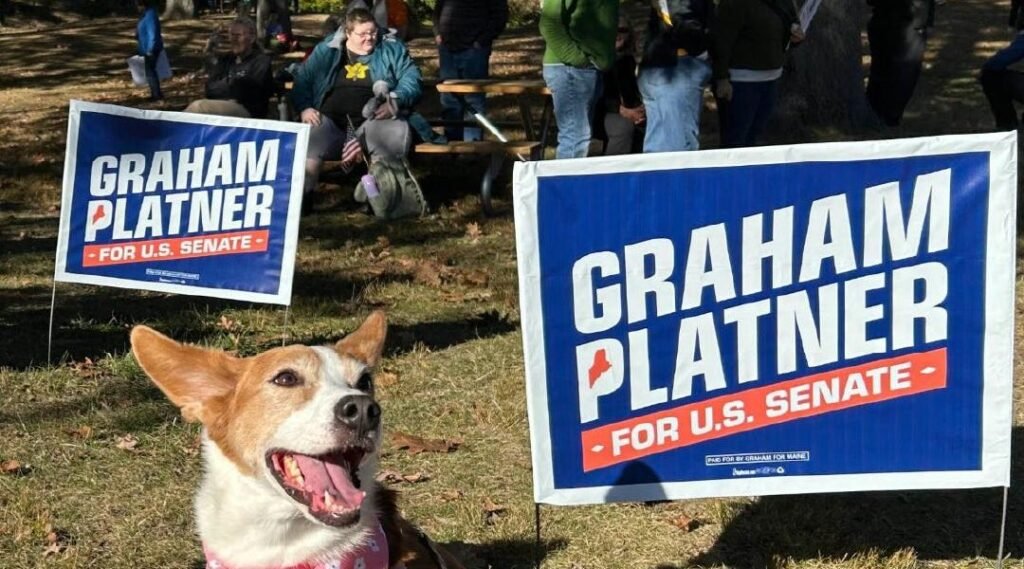 Https3a2f2fsubstack post media.s3.amazonaws.com2fpublic2fimages2fc753b36a 6ca0 43c5 a6f5 ac682.jpeg