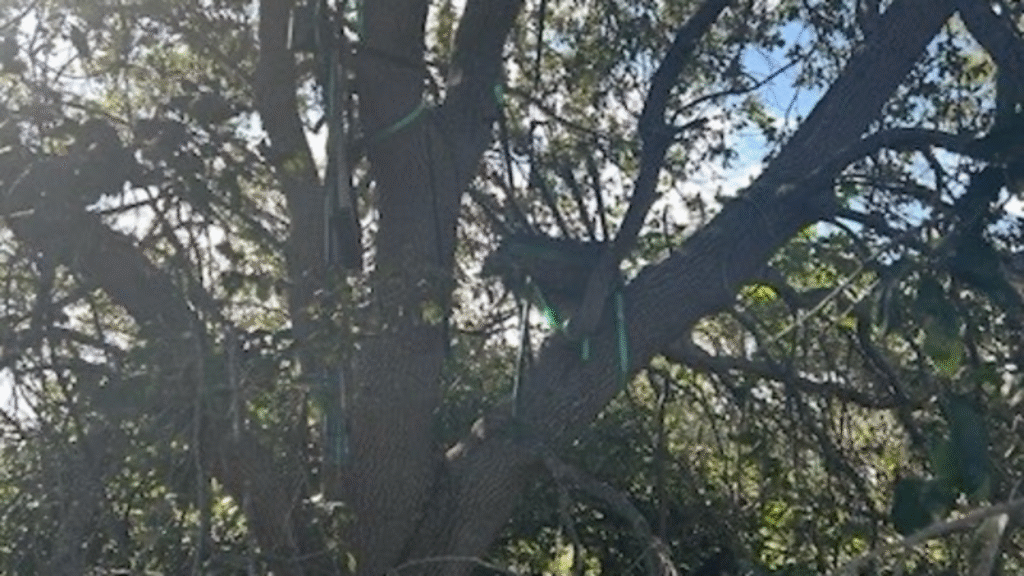 Image 3 20251020095820824.png