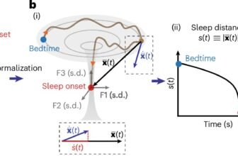 Researchers identify t 3.jpg